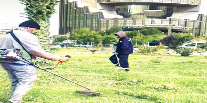 Epic «Oran vert».  Quand le vert reprend ses droits