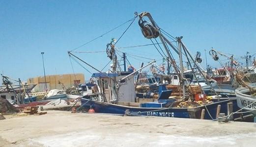 Pêche à Mostaganem. De fil en aiguille, les ramendeurs s’affirment en professionnels