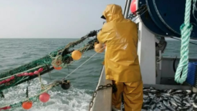 Indemnisation des professionnels de la pêche des suites des intempéries.   «Le dossier avance bien»