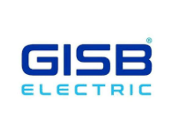 Efficacité énergétique à Mostaganem. Le guide de l’éclairage public,  un outil négligé