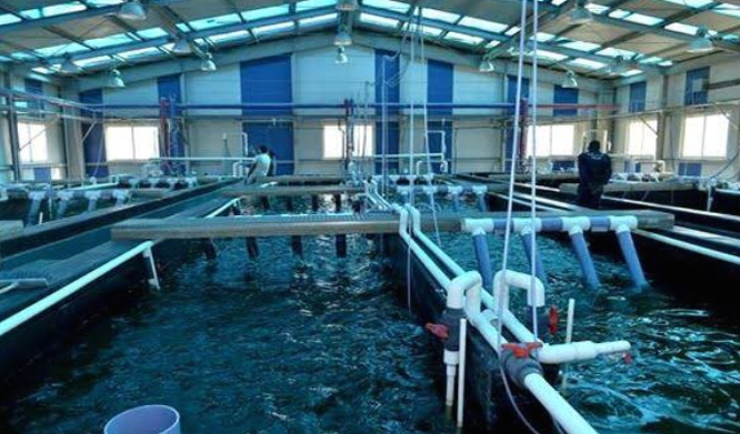 Sidi Bel Abbès. Journée de sensibilisation  sur l'aquaculture intégrée