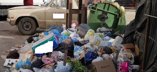 Ils transforment rues et trottoirs en zones insalubres. Qui est responsable des bacs à ordures?