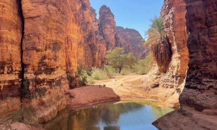 Destinations incontournables pour 2026. L’Algérie dans le Top 20 mondial