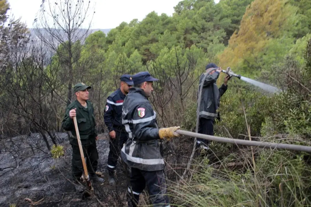 Malgré des conditions difficiles. Extinction réussie des incendies à Beni Haoua et Sidi Akacha
