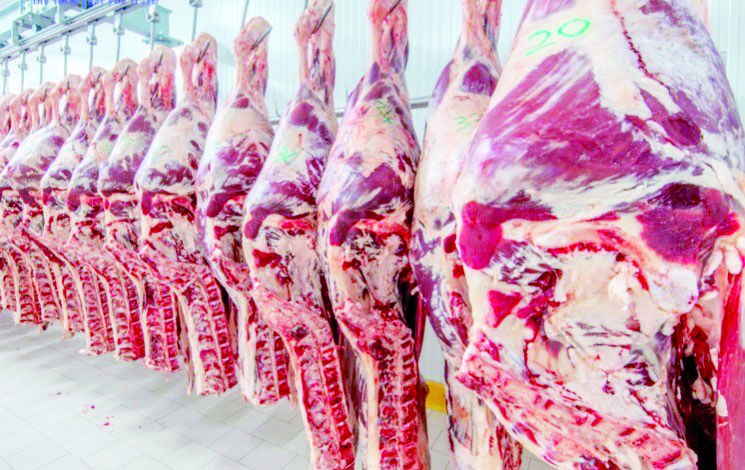 «Agrolog» lance une vaste opération d’importation de bétail. La viande très abordable durant le Ramadhan
