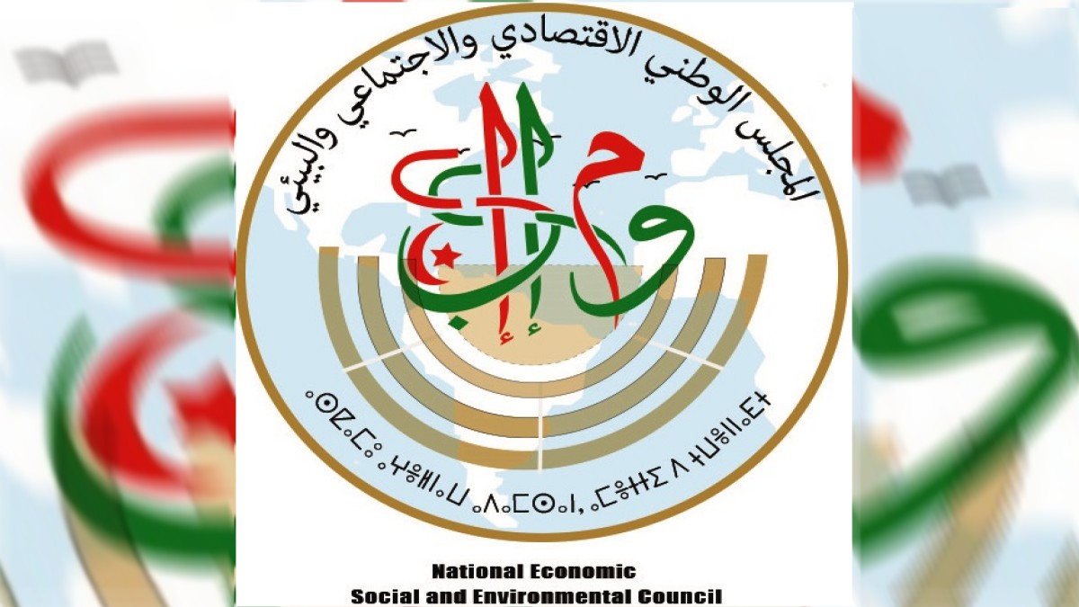 Assemblée générale extraordinaire. Le CNESE active ses comités permanents