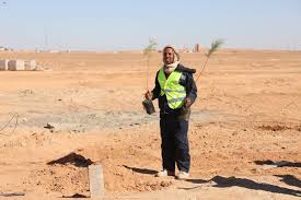 Béchar–Tindouf–Gara Djebilet. Campagne de reboisement de la ligne ferroviaire 