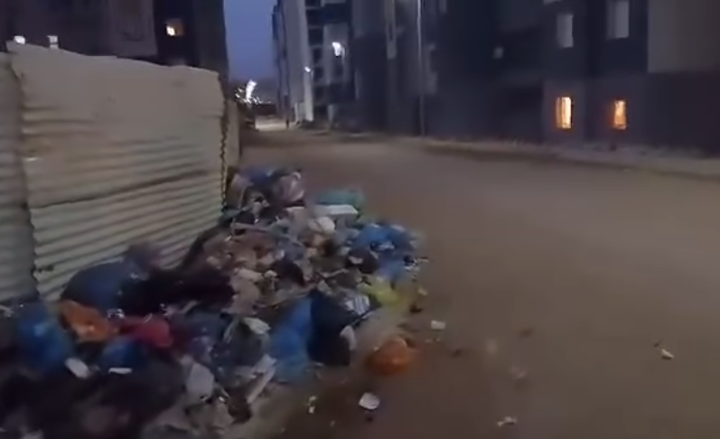 Pôle urbain AADL «Ahmed Zabana». Prolifération inquiétante de moustiques