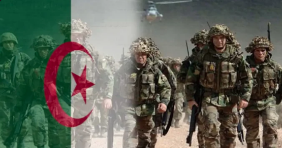 67 terroristes neutralisés et 369 éléments de soutien arrêtés en 2025. L’ANP sur tous les fronts 