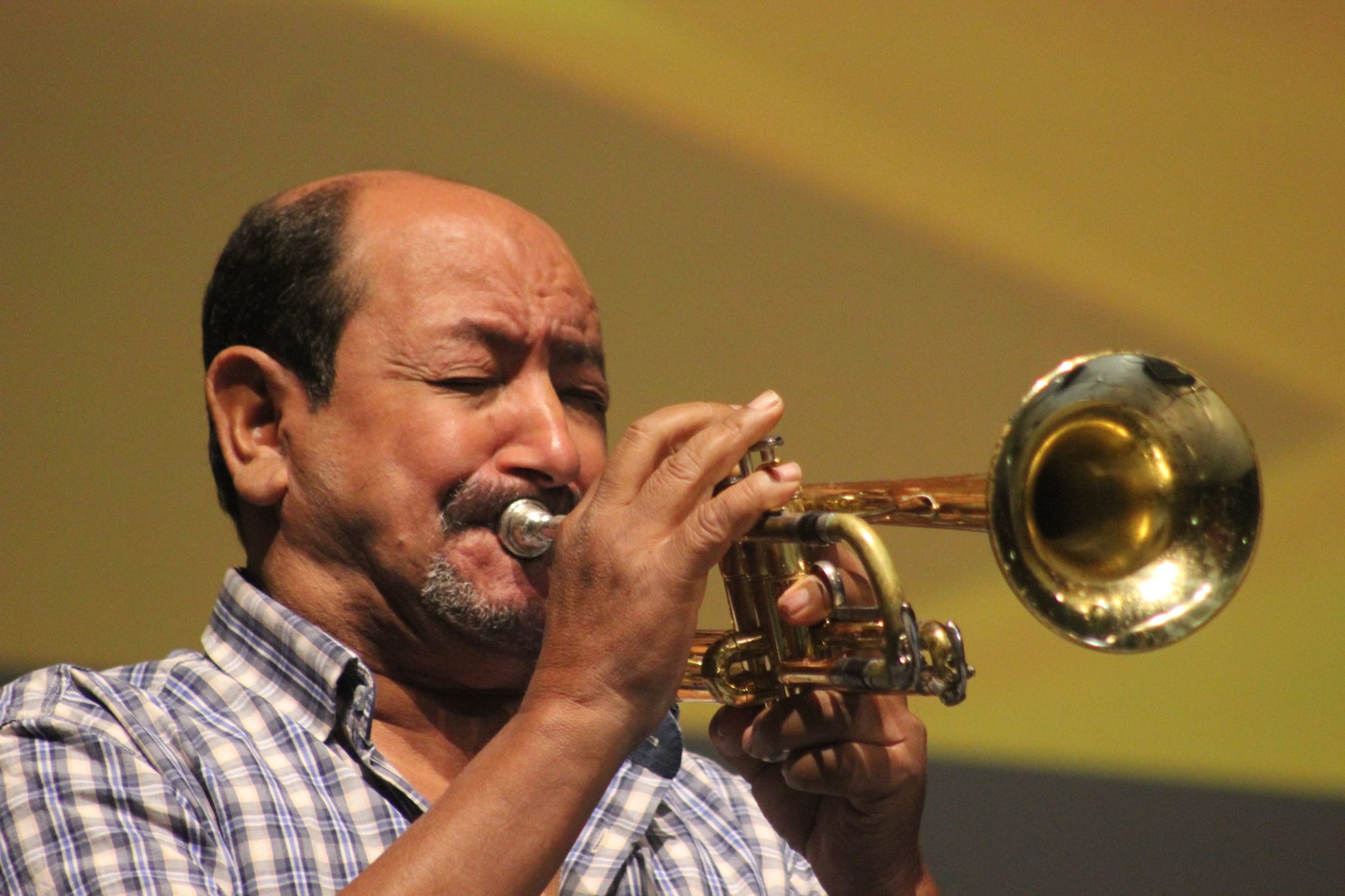 Palais de la Culture Zeddour Brahim. Le trompettiste Bellemou honoré