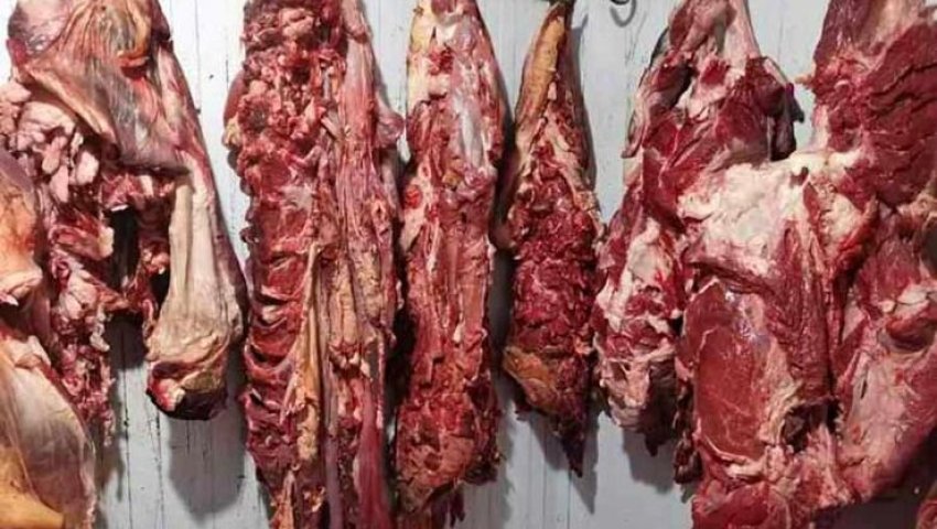 Sûreté de la wilaya de Sidi Bel-Abbès. Saisie de 05 qx de viandes impropres à la consommation