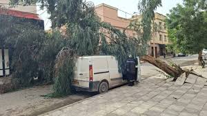 Chlef. Des rafales de vent causent des blessés et des dégâts matériels