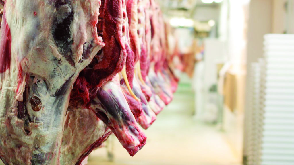 Disponibilité des viandes rouges et blanches durant le Ramadhan prochain. Un plan «anti-pénurie» mis en place