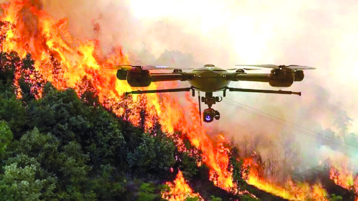 Protection du patrimoine forestier. L'Algérie déploie son dispositif préventif