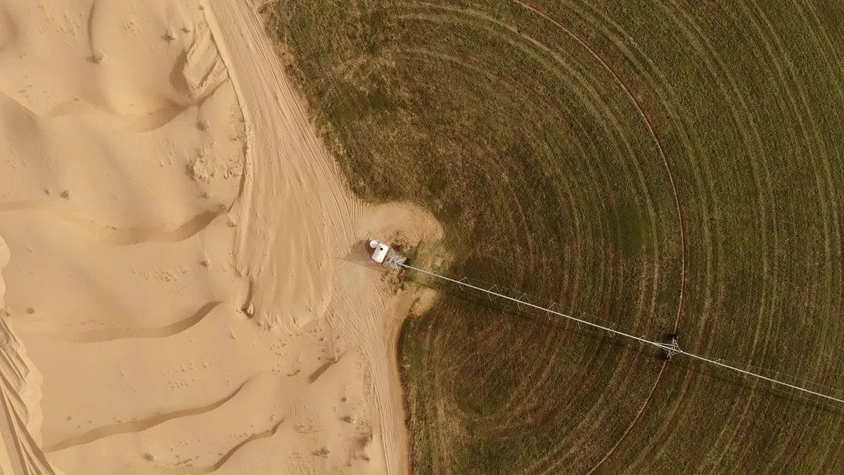 Alger et Londres décident de renforcer leur partenariat.  Agriculture algérienne  et innovation britannique
