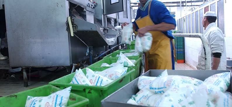 Renforcement du réseau de production et distribution laitière. 4,5 milliards de litres de consommation annuelle