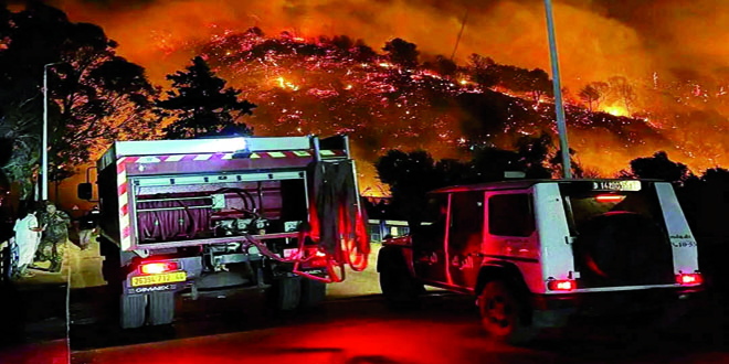 29 incendies surprises dans 10 wilayas du nord du pays. La wilaya de Tipaza la plus touchée