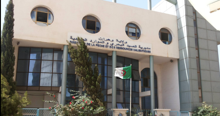 Ports de pêche d’Oran, Kristel et  Arzew.  Lancement d’une vaste campagne d’entretien et de nettoyage