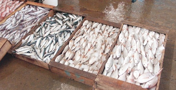 Malgré la production aquacole.  Les prix des poissons pêchés  «hors de portée» à Oran 